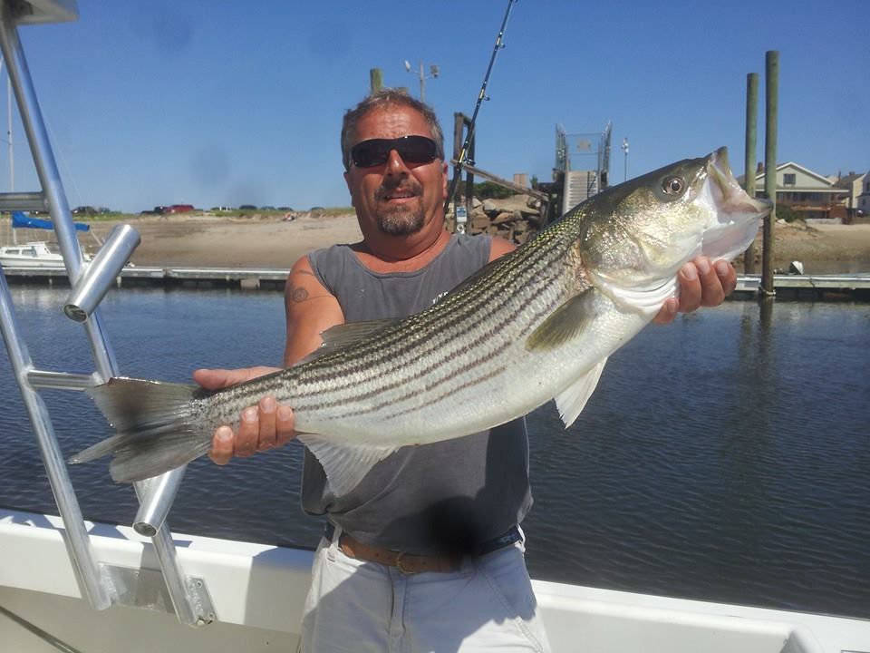 Wells Harbor,Maine FISHING CHARTERS and SCENIC CRUISES | Wells Maine ...